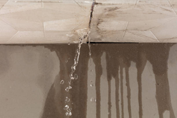 Professional Burst Pipe Cleanup technician working in Waterville, MN